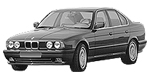 BMW E34 P1203 Fault Code